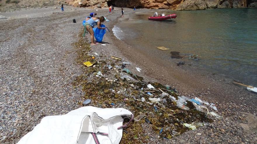 Parte de la basura retirada