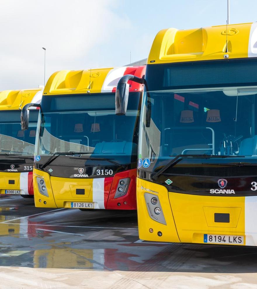 Urlaub auf Mallorca: Die Busverbindungen in zahlreichen Urlaubsorten werden ausgebaut