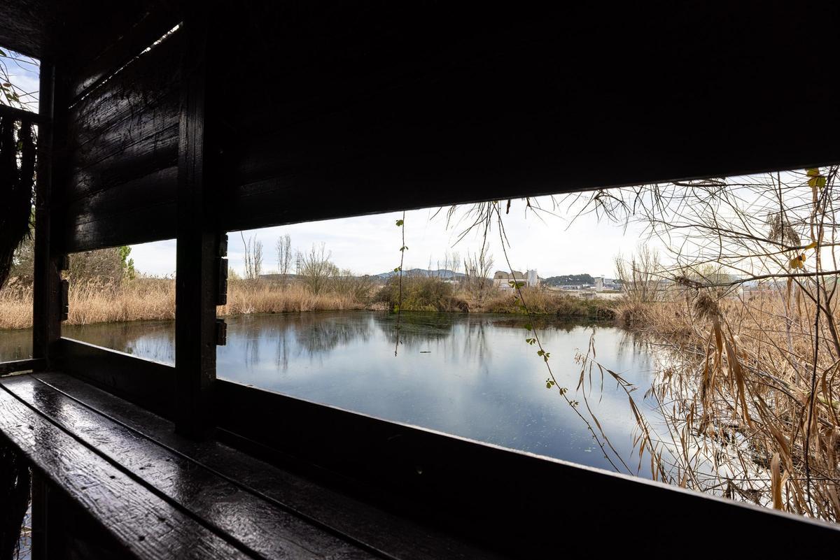 Mirador del humedal de Can Cabanyes.