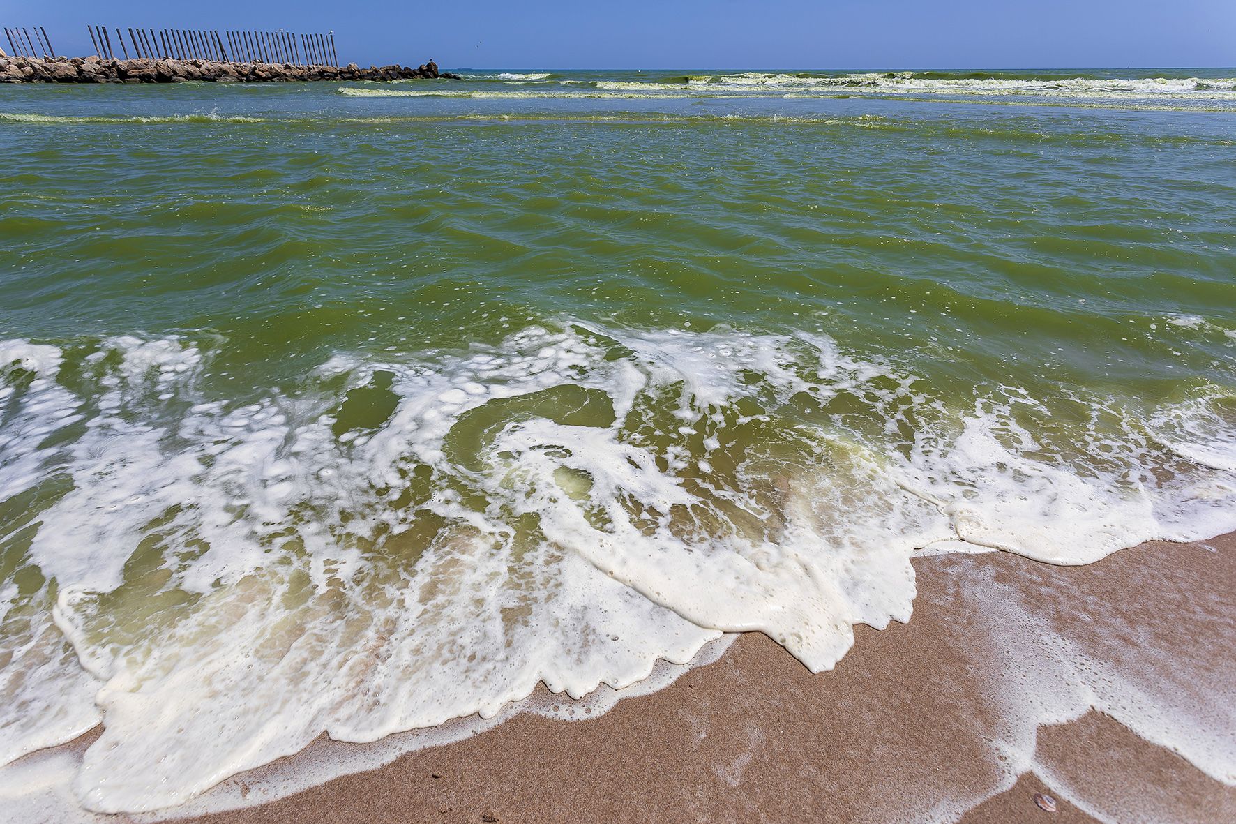 Vertido de agua verde en la playa del Perellonet