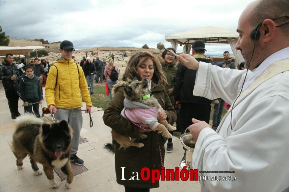 Jornada especial por San Antón en la Fortaleza del Sol de Lorca