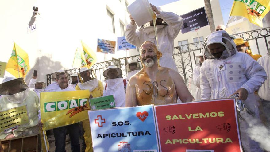 Carlos Zafra, representante de los apicultores en Coag Murcia, ayer, mientras le vierten un bote de miel encima.  | JUAN CARLOS CAVAL