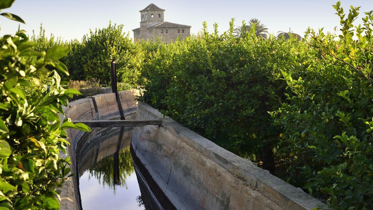 Murcia, un trozo de huerta en Madrid