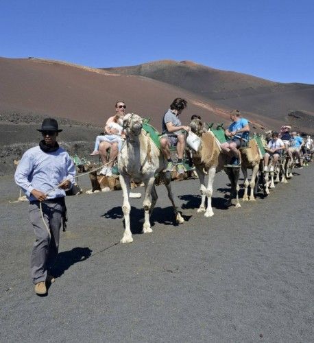 ctv-fo7-turistas-en-camellos--12355323