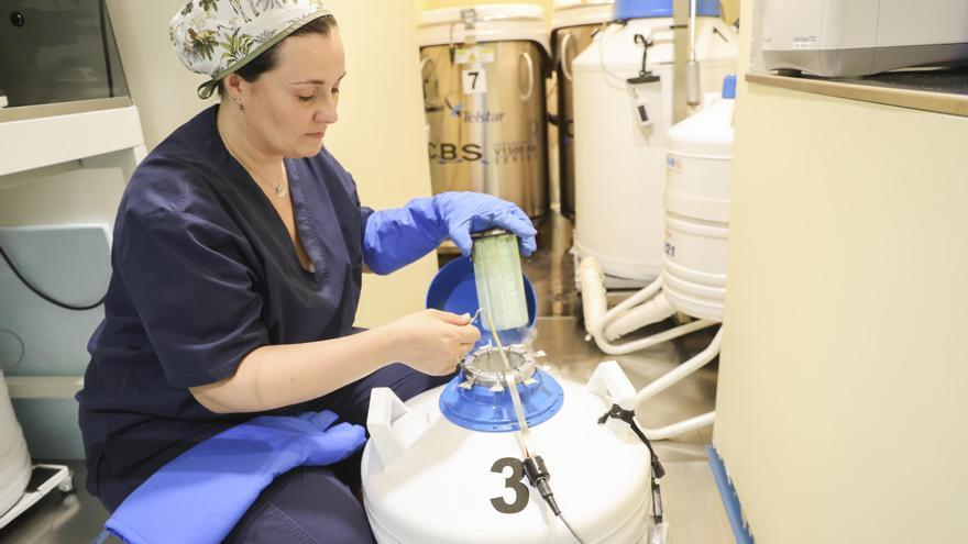 Así protegen las clínicas de fertilidad lo más valioso en un apagón nacional