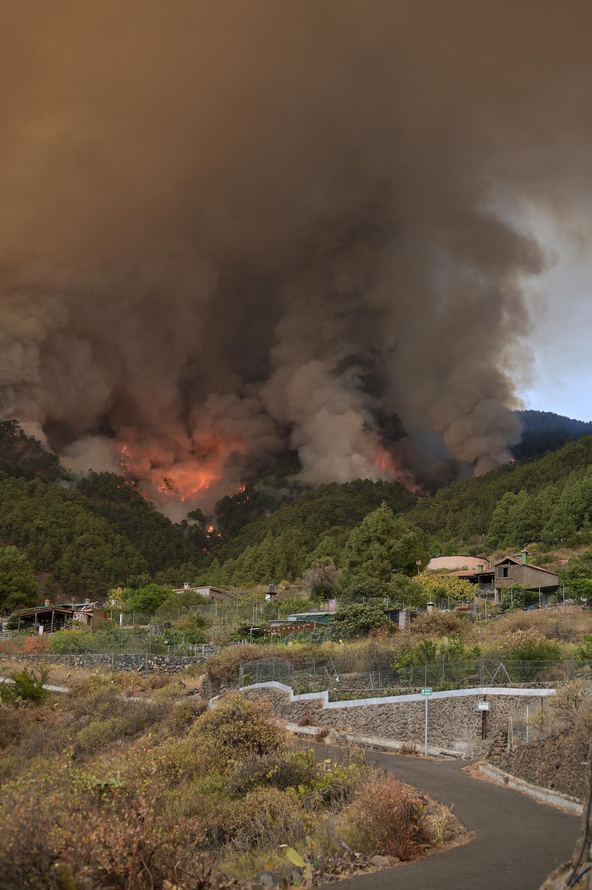 El incendio forestal de Tenerife, sin control