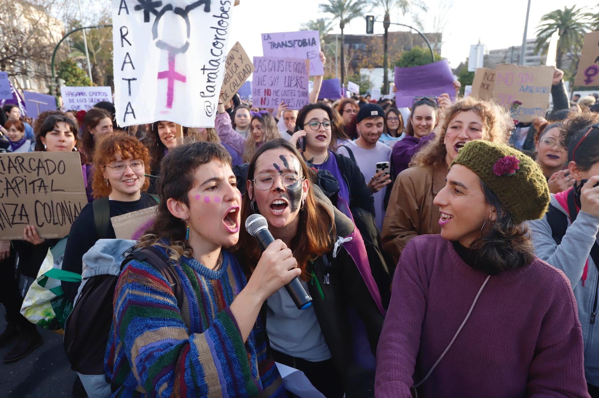 La manifestación del 8M recorre las calles de Córdoba