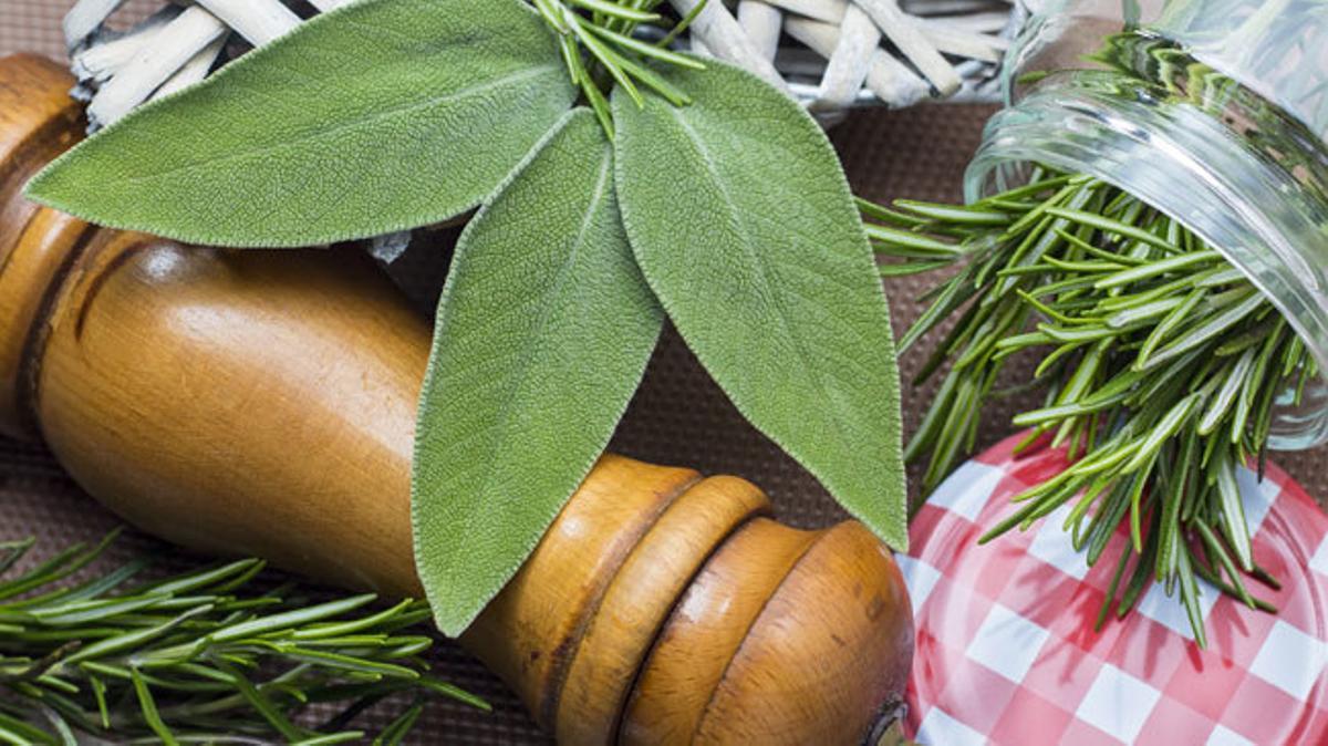 Diez plantas que mejorarán el ambiente del hogar