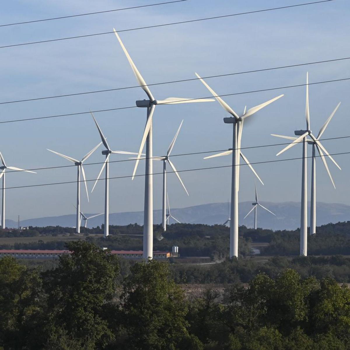 Catalunya flexibilitzarà encara més els criteris ambientals de les plantes fotovoltaiques Catalunya flexibilitzarà encara més els criteris ambientals de les plantes fotovoltaiques