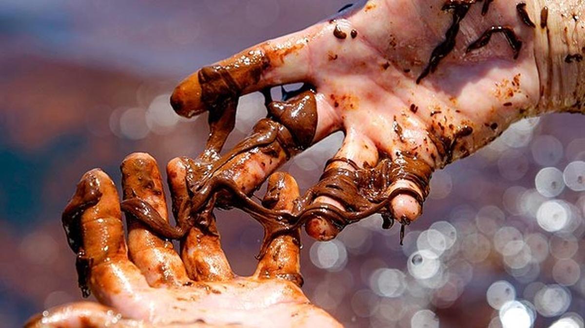 Un ecologista, amb les mans tacades de cru procedent de la plataforma Deepwater Horizon, en una platja del golf de Mèxic.