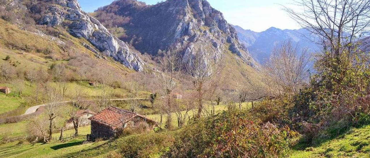 Cabañas de la collada de Moandi (Ponga).