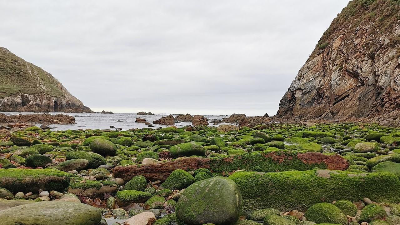 Playa de Salencia