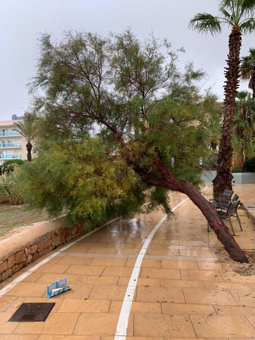 El temporal descarga sobre Ibiza y Formentera