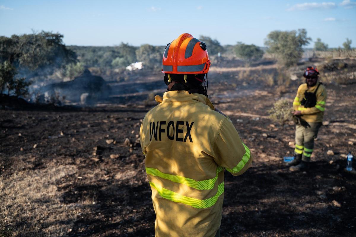 Fotogalería | Las imágenes del incendio de Las Viñas, en Arroyo de la Luz
