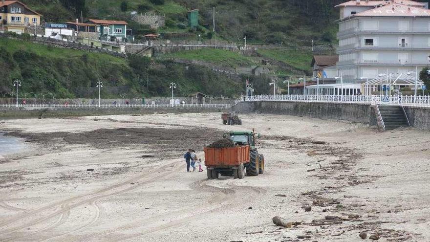 Maquinaria trabajando para limpiar la playa de Santa Marina, en Ribadesella, ayer.