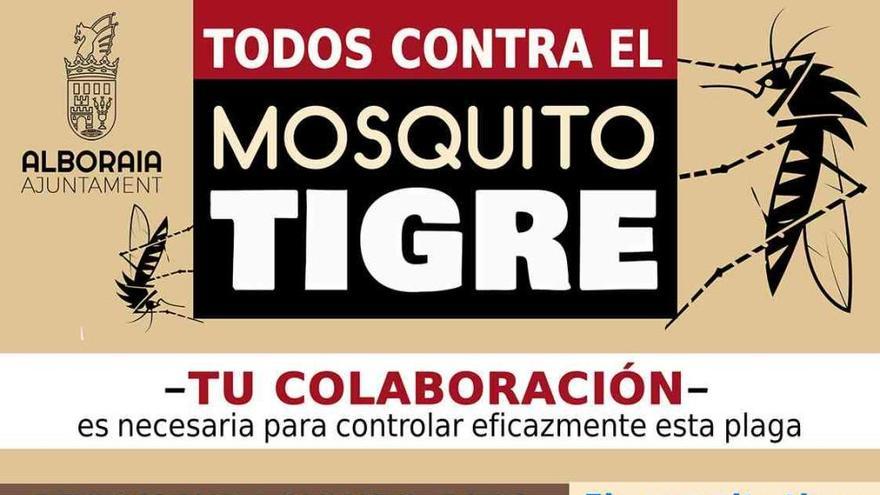 Alboraia mantiene a raya al mosquito tigre