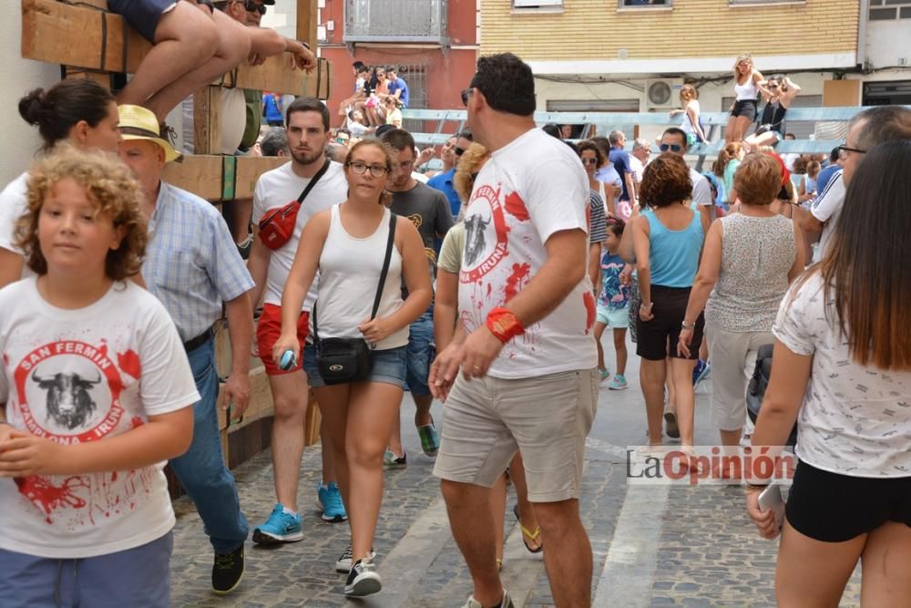 I Encierro de Blanca 2016