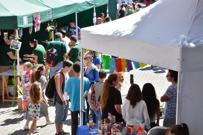 Mercadillo escolares emprendedores