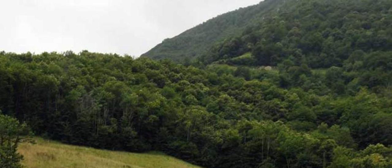 Las bocas asturianas de los grandes túneles de la Variante.