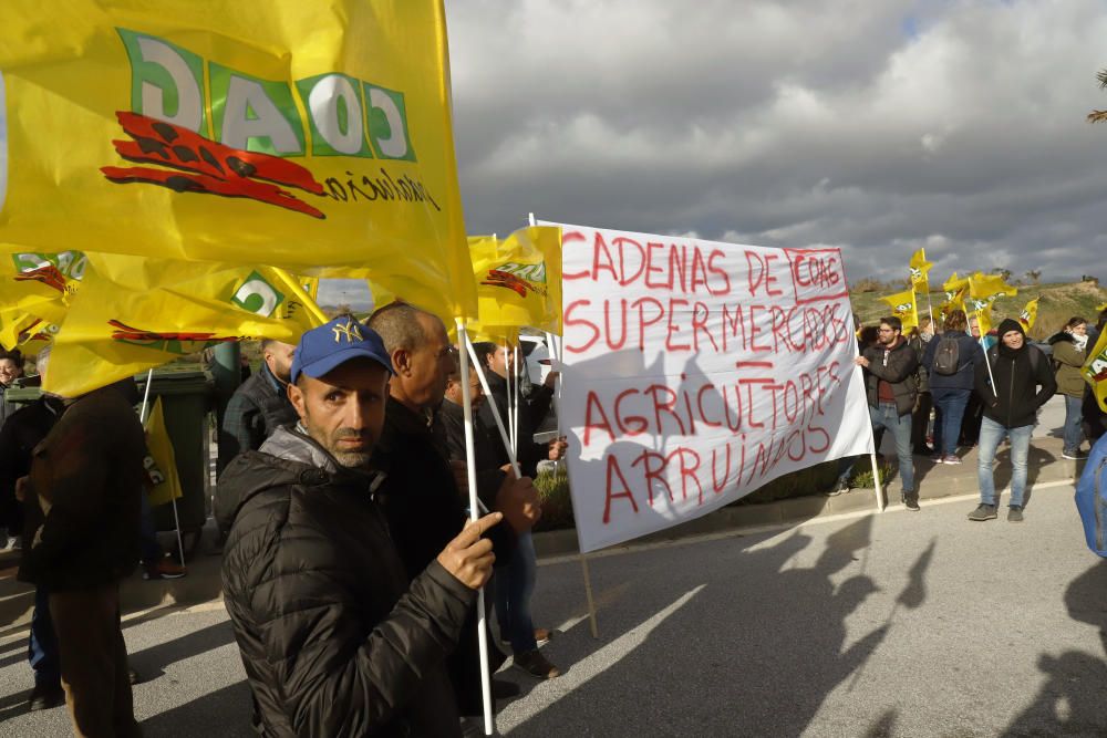 Los agricultores se manifiestan en Málaga contra la bajada de precios