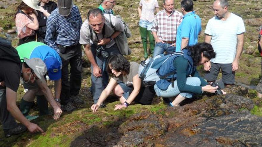 La bióloga Elisa González, agachada, en el centro, con algunos de los participantes en la salida al pedrero de Huelgues.