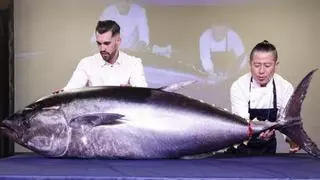 Un atún de 123 kilos en los Pirineos