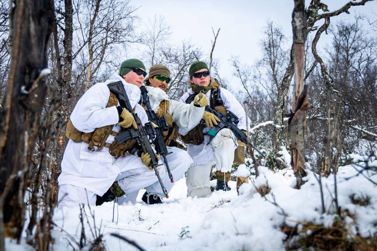 Soldados escandinavos en el ejercicio Joint Viking 2025 del ejército noruego.