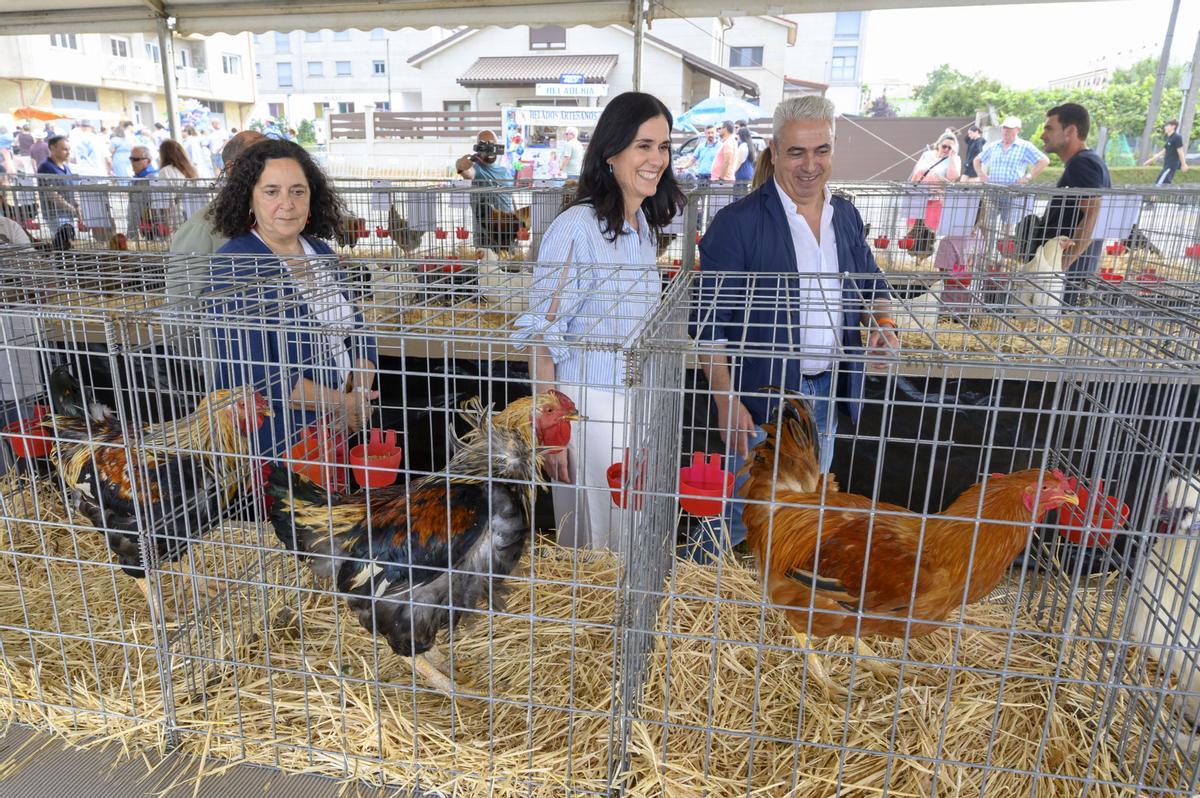 Pola esquerda, Belén Do Campo, Paula Prado e Manuel Taboada visitando a