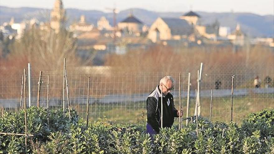 La Asociación Cívica reclama que se impulse el proyecto de huertos urbanos