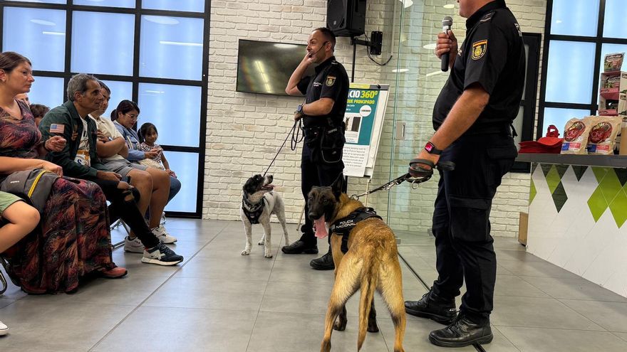 &quot;Superpolis&quot; en Paredes: agentes de la Policía Nacional muestran cómo trabajan con los perros especializados en la detección de drogas y explosivos