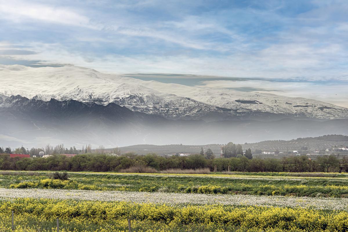 Campos de manantial y montañas nevadas de la Sierra Nevada