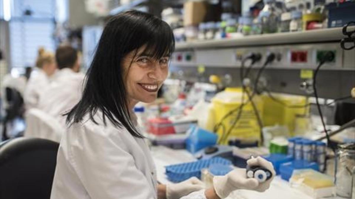 Mara Dierssen, en su laboratorio del Centro de Regulación Genómica.