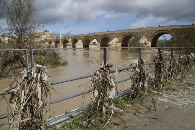 El Ayuntamiento de Córdoba limpiará a partir del lunes las zonas afectadas por las lluvias