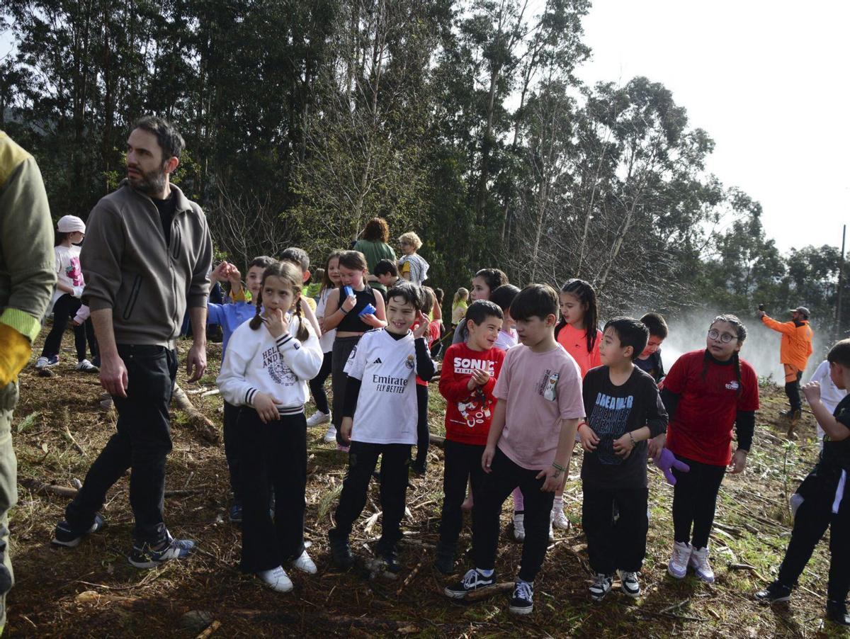 En la plantación participaron pequeños de todos los centros escolares. | GONZALO NÚÑEZ