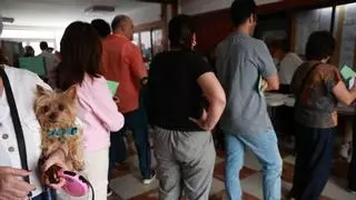 Cae la participación en Andalucía en el arranque de la jornada electoral