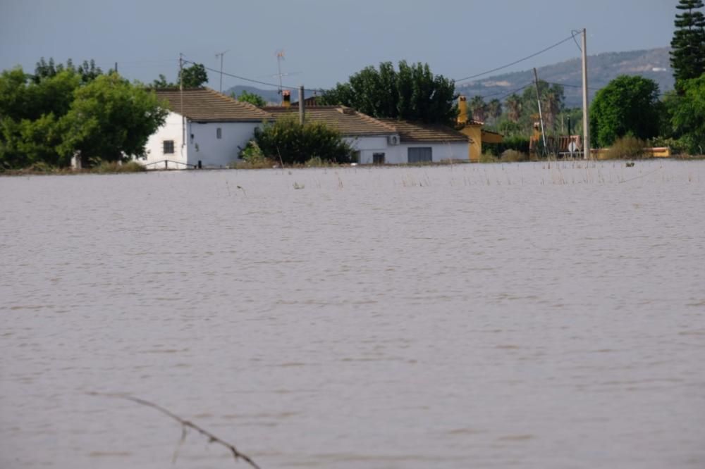 Las imágenes de las inundaciones en Almoradí y Dolores