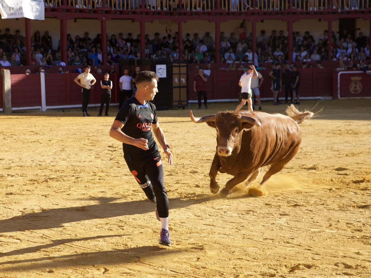 Toro del Cajón, San Agustín 2026