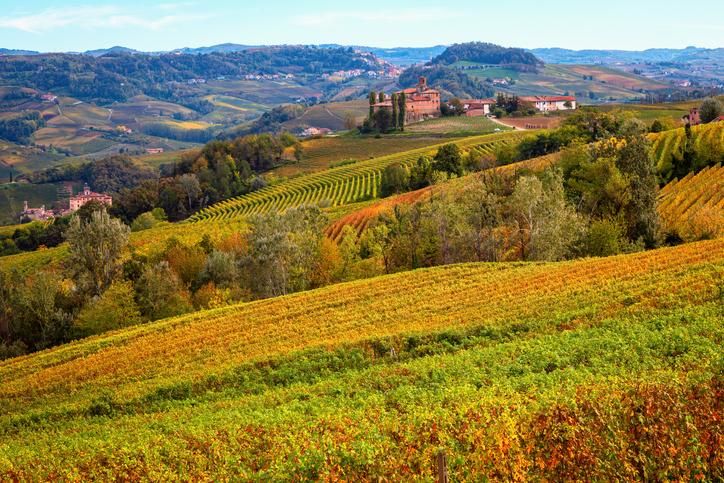 Los paisajes otoñales en Barolo son un espectáculo visual.