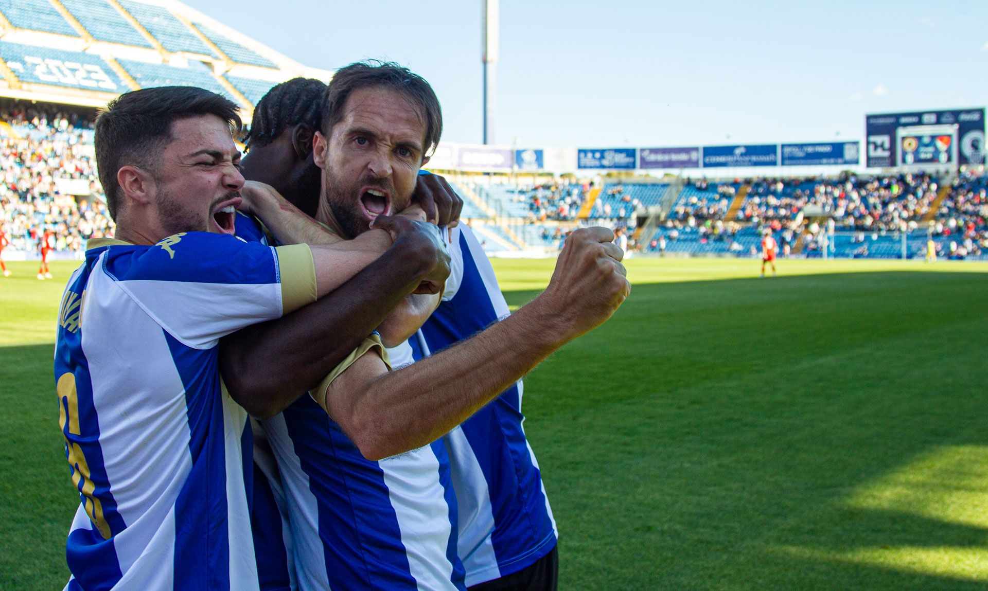 El Hércules no pasa del empate