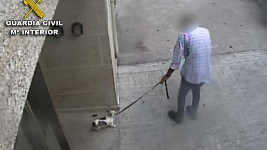 Un año de prisión por matar a su perra en Baiona arrojándola contra el suelo y rematándola con una patada