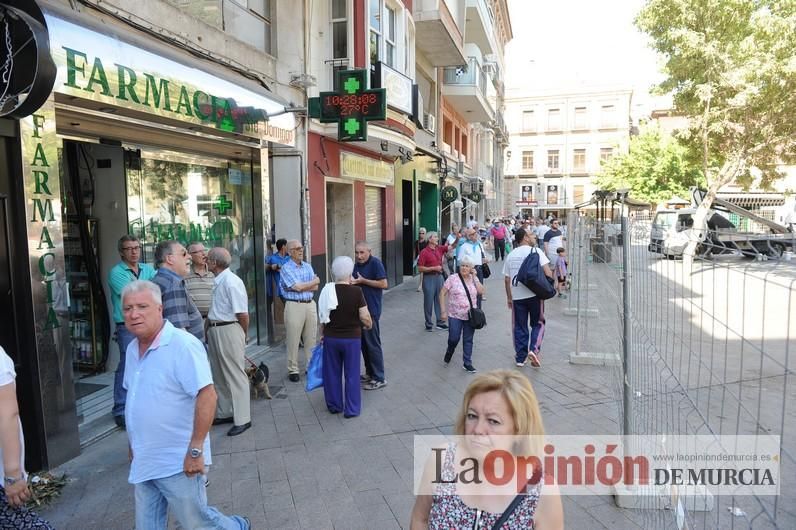 El día después de la caída de la rama del ficus de