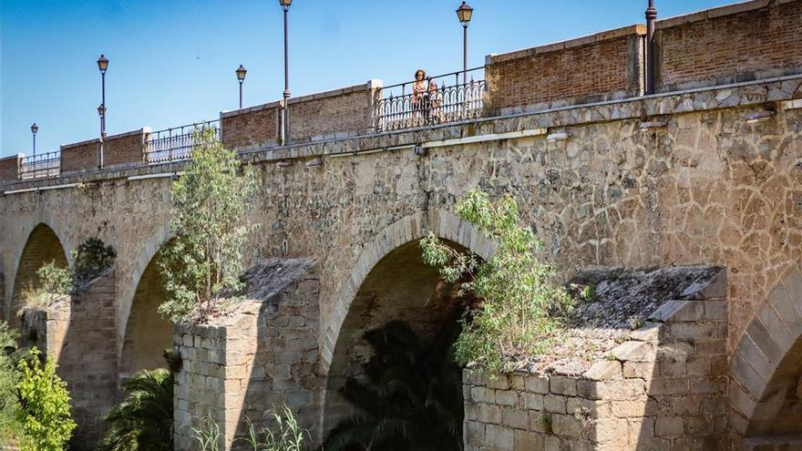 La Junta limpiará de vegetación el puente de Palmas de Badajoz esta semana