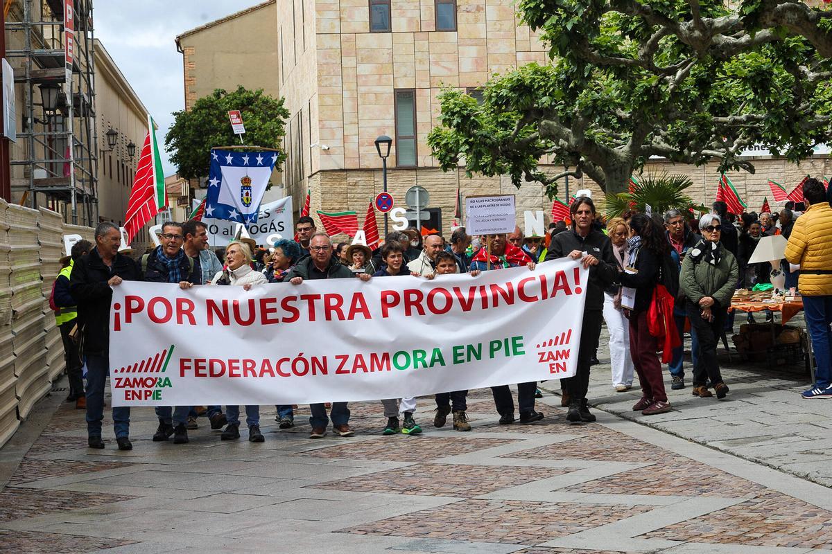 Ni molinos ni biogás: la oposición al nuevo mapa energético convoca a un millar de zamoranos en la capital