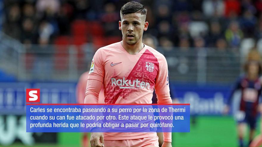 El futbolista catalán, Carles Pérez se encuentra hospitalizado tras la mordedura de un perro en los genitales