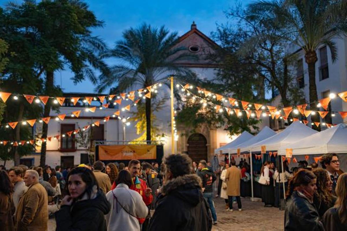 Fiesta del cine en la Plaza de las Cañas