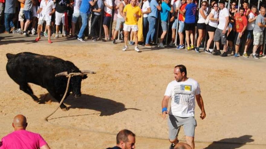 Una de las carreras del toro del pasado año.