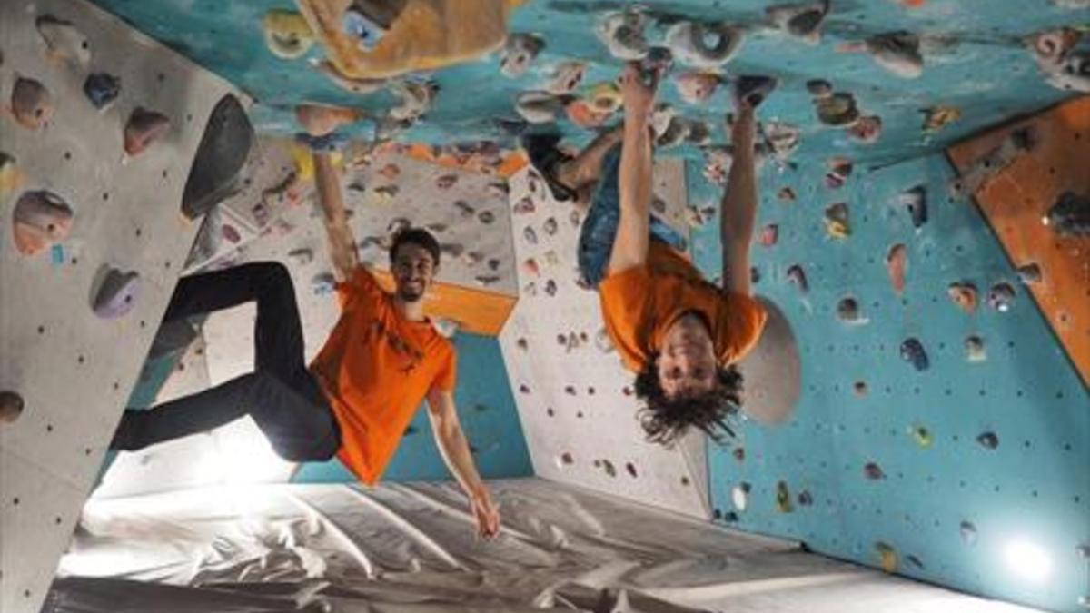 Presas de escalada para niños, animales