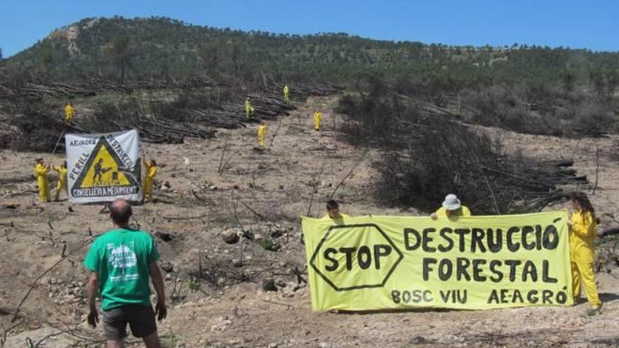 Denuncian los "abusos" en las sacas de madera tras los incendios