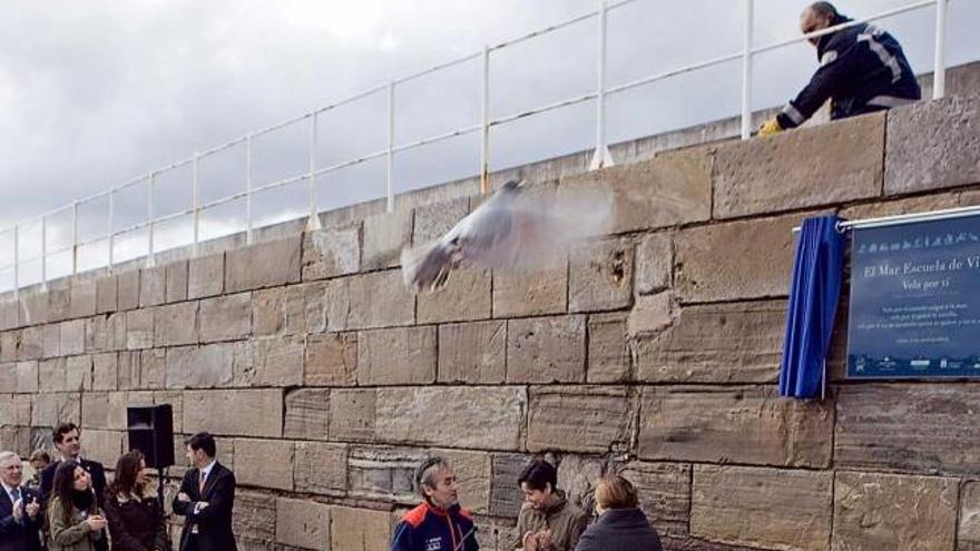 Dos alumnos del Colegio Honesto Batalón sueltan las palomas tras el descubrimiento de la placa por la Alcaldesa y la presidenta del Puerto.