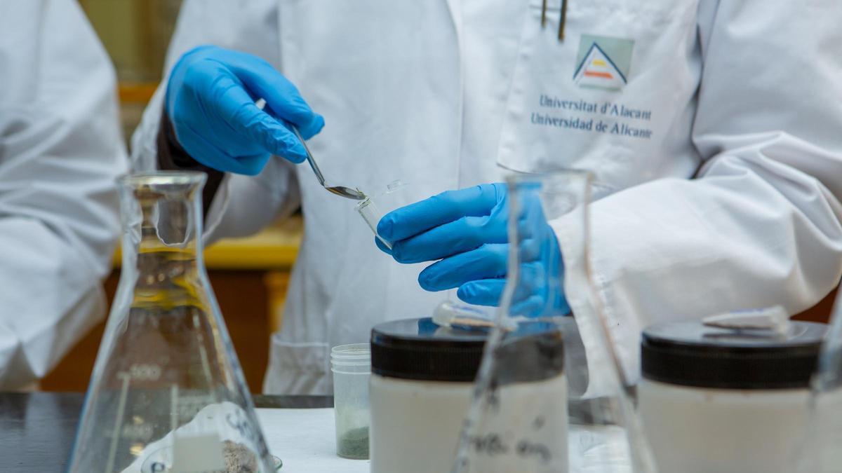 Esta iniciativa reconoce y promociona la actividad investigadora del personal que haya alcanzado logros relevantes en sus respectivas disciplinas de investigación.